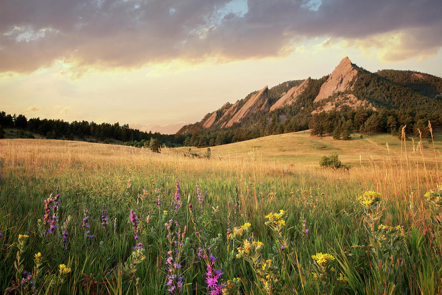 scenic-view-of-meadow-and-mountains-seth-k-hughes